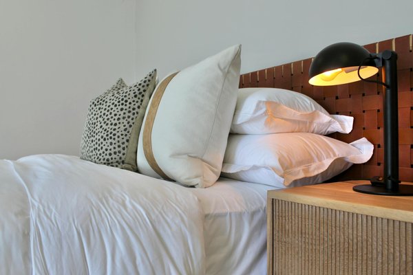 Plantes résilientes idéales pour transformez votre jardin de bordure en oasis aride